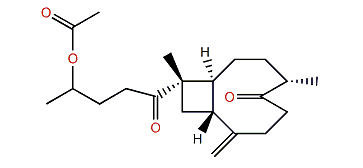 Gibberosin O